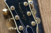 Sire H7 Larry Carlton-7.jpg